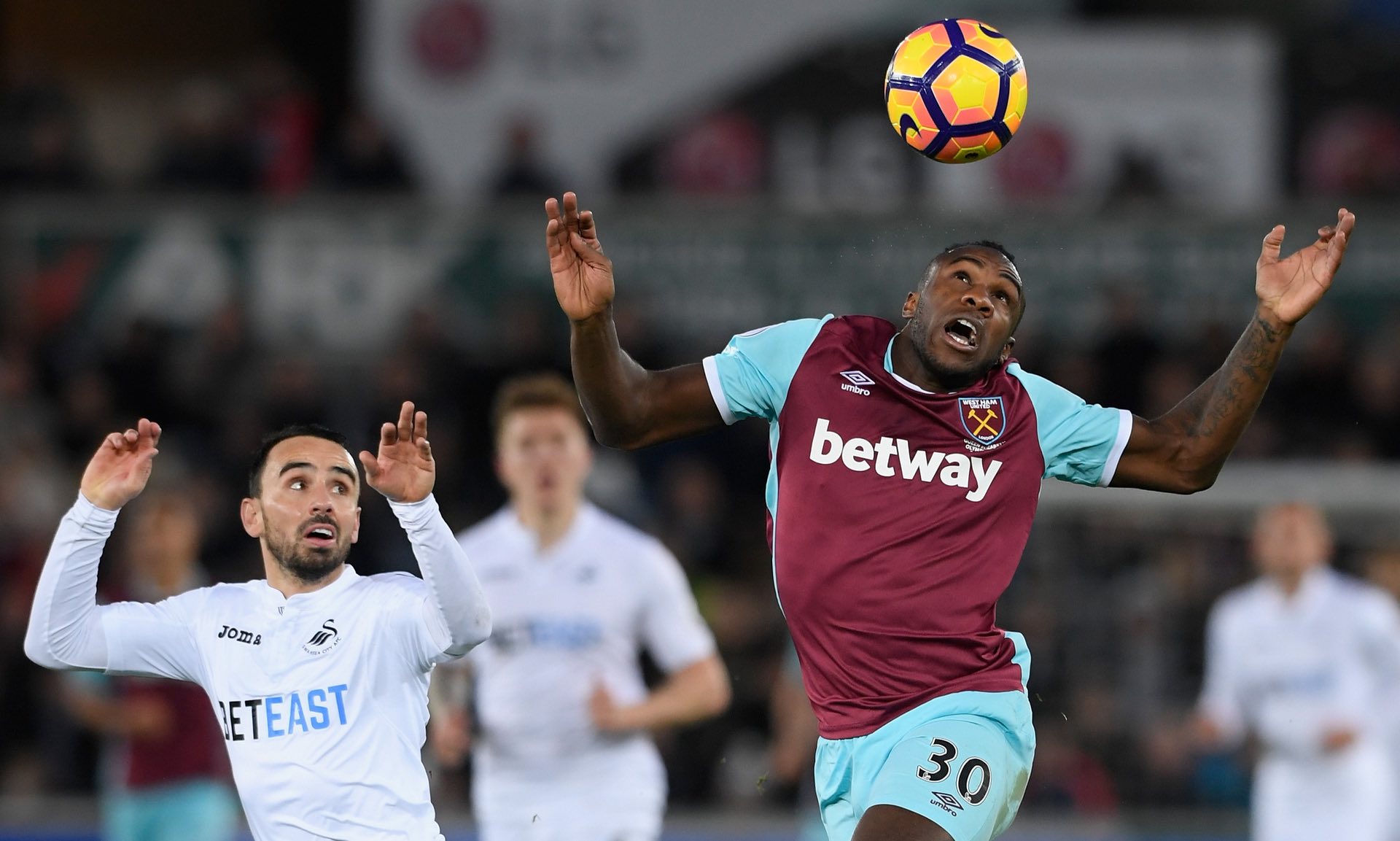 芒的后卫 芒的后卫